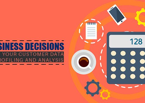 Better Business Decisions by Enhanced Customer Data Analysis